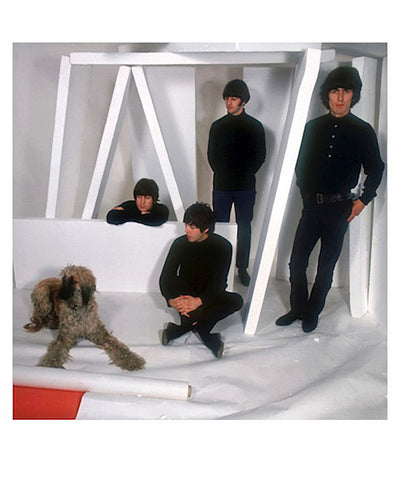 写真「ビートルズと犬 - ロンドン、ウエスト・ハムステッド・スタジオ - 1965年」【オリジナル・プリント／ロバート・ウィテカー・フォトグラフィーのエンボス入り】