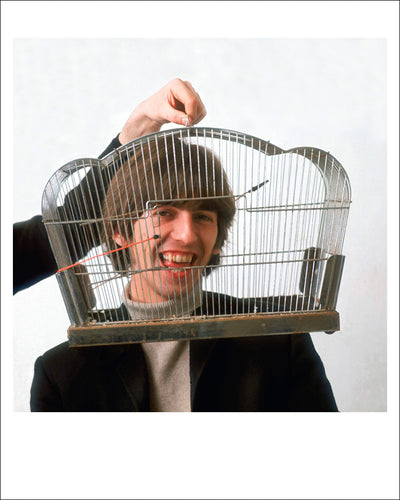 写真「ジョージ・ハリスン - 鳥かご - ザ・ベイル・スタジオ、ロンドン - 1966年」【オリジナル・プリント／ロバート・ウィテカー・フォトグラフィーのエンボス入り】